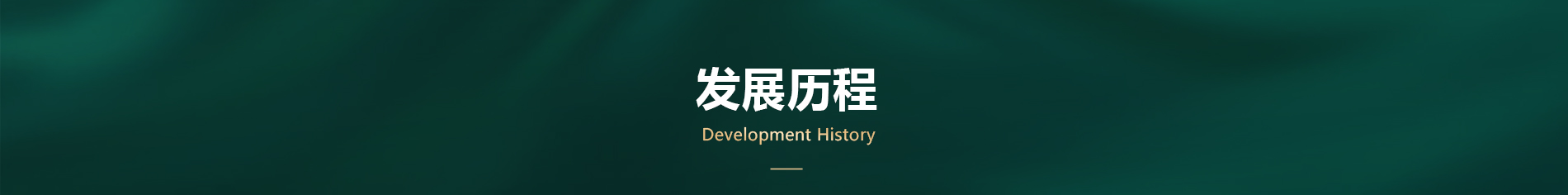 发展历程 Development History