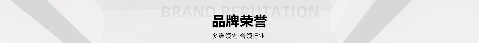品牌荣誉 Brand Reputation